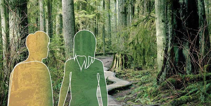 Photo of forest path with illustration of two people walking